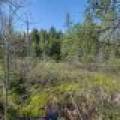 7421 CTH B, , Land O Lakes,  WI 54540