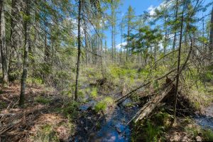 7421 CTH B, , Land O Lakes,  WI 54540