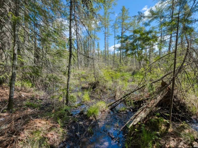 7421 CTH B, , Land O Lakes,  WI 54540