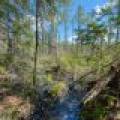 7421 CTH B, , Land O Lakes,  WI 54540