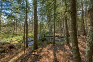 7421 CTH B, , Land O Lakes,  WI 54540
