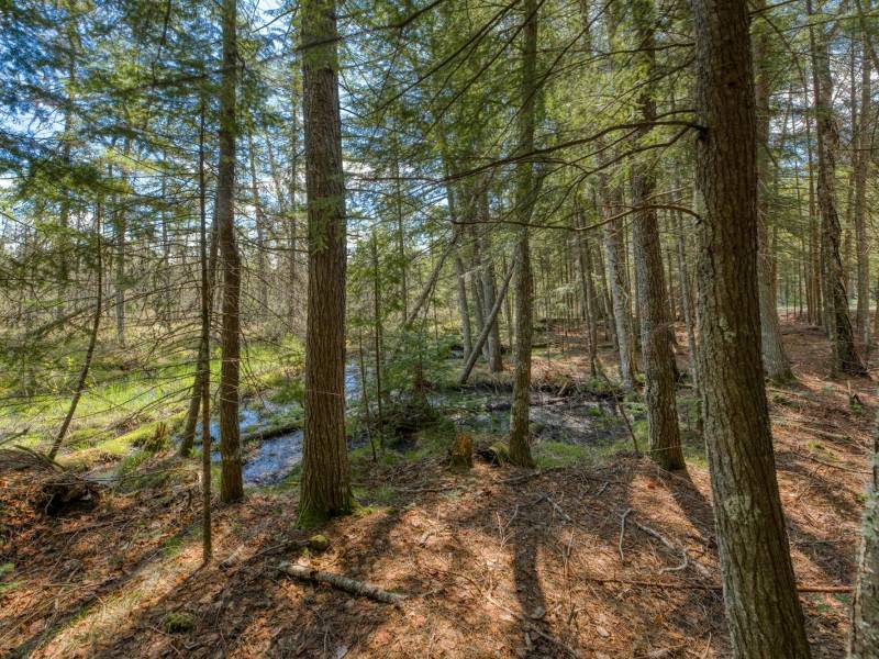 7421 CTH B, , Land O Lakes,  WI 54540