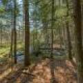 7421 CTH B, , Land O Lakes,  WI 54540