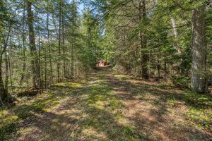 7421 CTH B, , Land O Lakes,  WI 54540