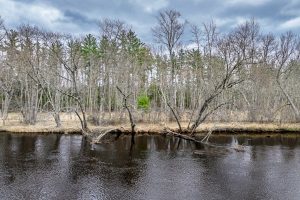 7453 Wolf Rd, , Lake Tomahawk,  WI 54539 United States