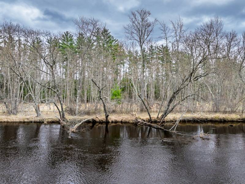 7453 Wolf Rd, , Lake Tomahawk,  WI 54539 United States