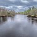 7453 Wolf Rd, , Lake Tomahawk,  WI 54539 United States