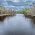 7453 Wolf Rd, , Lake Tomahawk,  WI 54539 United States