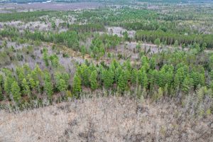 7453 Wolf Rd, , Lake Tomahawk,  WI 54539 United States