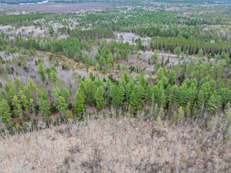 7453 Wolf Rd, , Lake Tomahawk,  WI 54539 United States