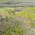 9452 Hwy 55, , Argonne,  WI 54511