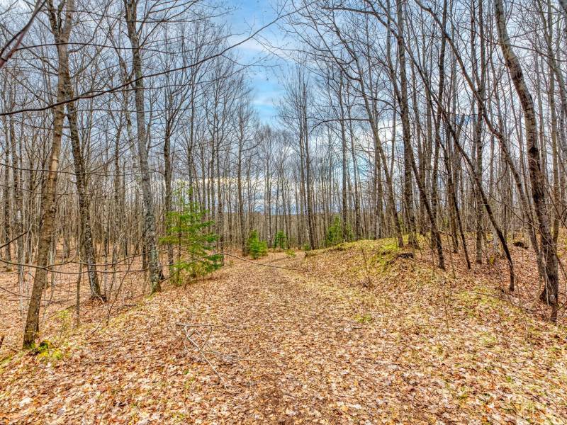 Back Lot - Off Johnson Ln, , Winchester,  WI 54557