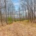 Back Lot - Off Johnson Ln, , Winchester,  WI 54557