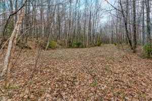 Back Lot - Off Johnson Ln, , Winchester,  WI 54557