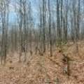 Back Lot - Off Johnson Ln, , Winchester,  WI 54557