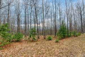Back Lot - Off Johnson Ln, , Winchester,  WI 54557
