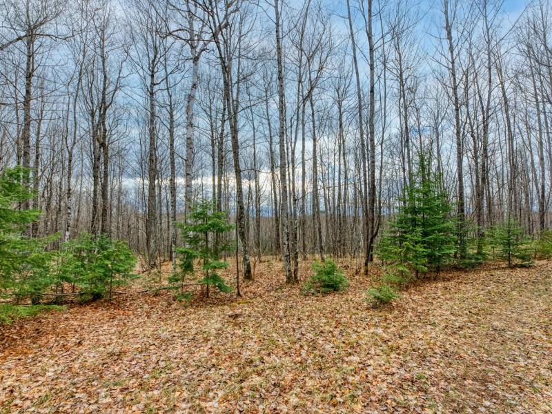 Back Lot - Off Johnson Ln, , Winchester,  WI 54557