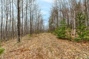 Back Lot - Off Johnson Ln, , Winchester,  WI 54557