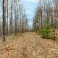 Back Lot - Off Johnson Ln, , Winchester,  WI 54557