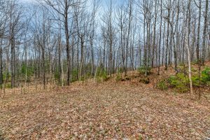 Back Lot - Off Johnson Ln, , Winchester,  WI 54557
