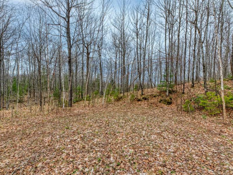 Back Lot - Off Johnson Ln, , Winchester,  WI 54557