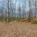 Back Lot - Off Johnson Ln, , Winchester,  WI 54557