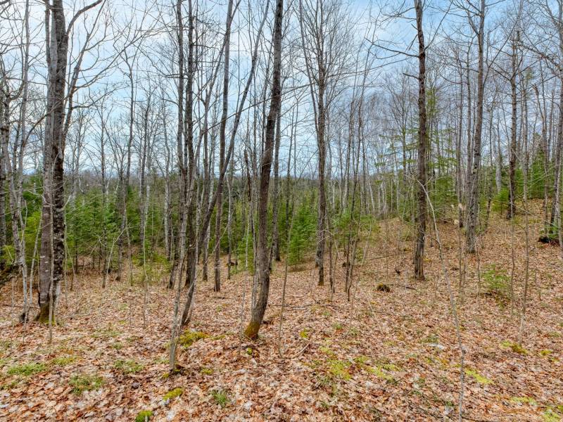 Back Lot - Off Johnson Ln, , Winchester,  WI 54557