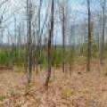 Back Lot - Off Johnson Ln, , Winchester,  WI 54557