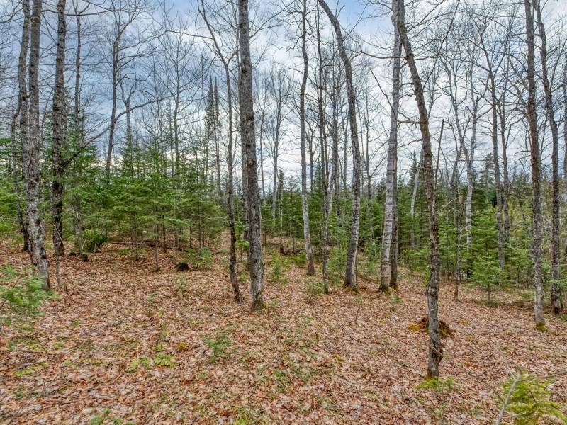 Back Lot - Off Johnson Ln, , Winchester,  WI 54557