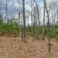 Back Lot - Off Johnson Ln, , Winchester,  WI 54557