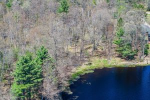 Lot 1 Off River Rd, , Cloverland,  WI 54521