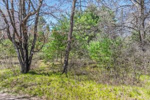 Lot 2 Off River Rd, , Cloverland,  WI 54521