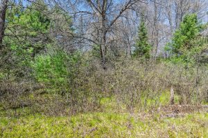 Lot 1 Off River Rd, , Cloverland,  WI 54521