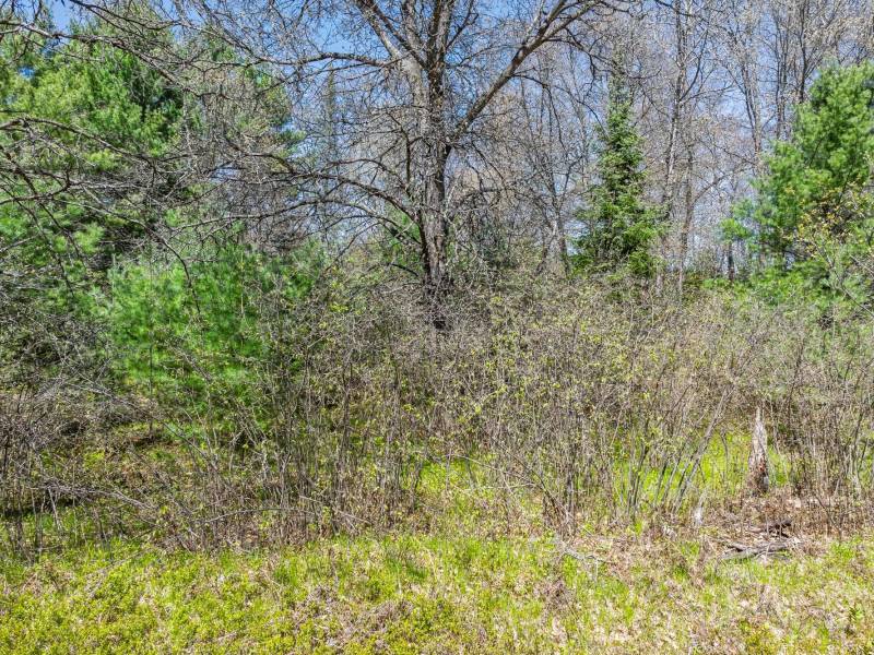 Lot 1 Off River Rd, , Cloverland,  WI 54521