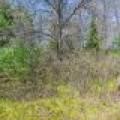Lot 1 Off River Rd, , Cloverland,  WI 54521