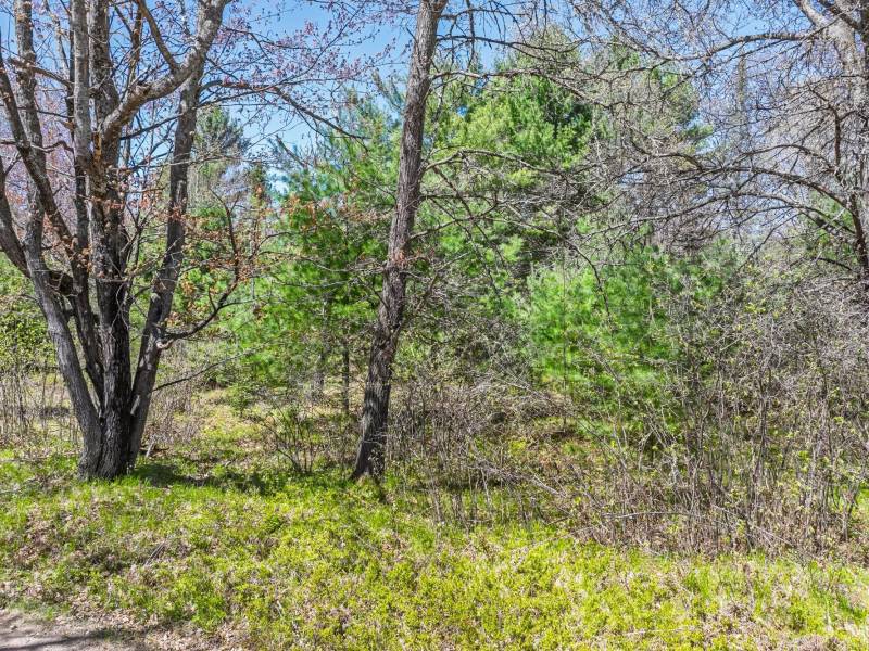 Lot 1 Off River Rd, , Cloverland,  WI 54521