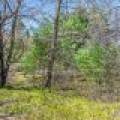 Lot 1 Off River Rd, , Cloverland,  WI 54521