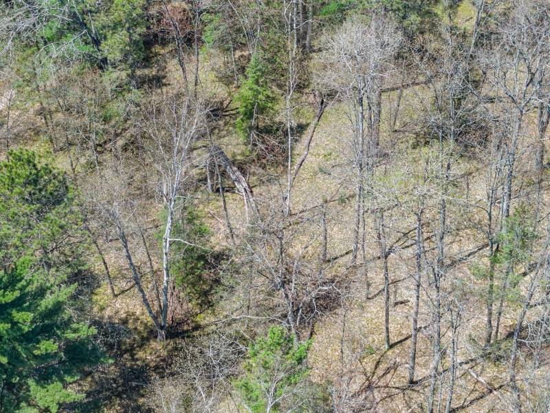 Lot 2 Off River Rd, , Cloverland,  WI 54521
