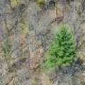 Lot 2 Off River Rd, , Cloverland,  WI 54521