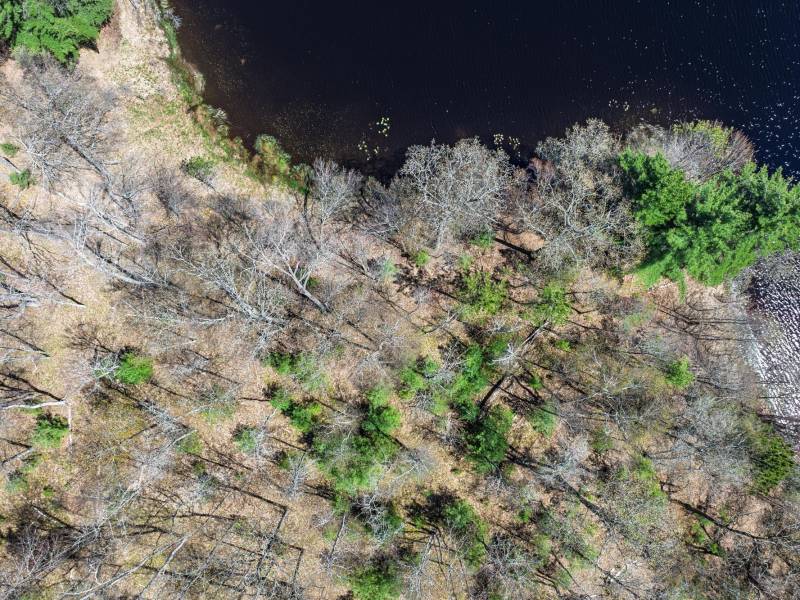 Lot 2 Off River Rd, , Cloverland,  WI 54521