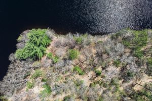 Lot 2 Off River Rd, , Cloverland,  WI 54521