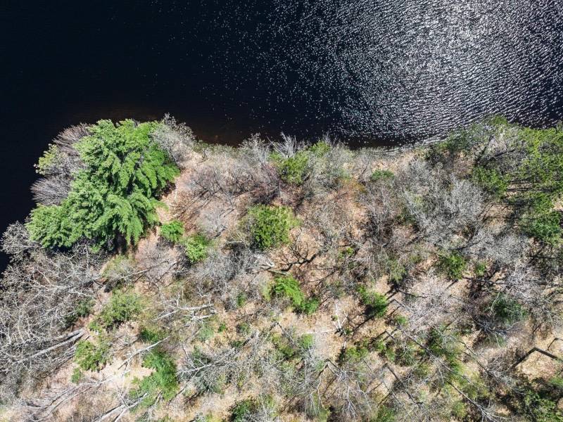 Lot 2 Off River Rd, , Cloverland,  WI 54521