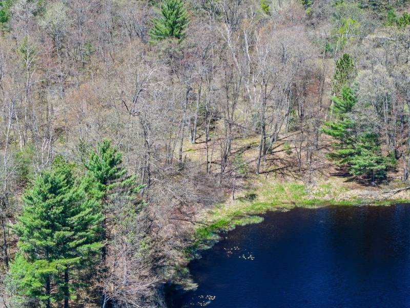 Lot 2 Off River Rd, , Cloverland,  WI 54521
