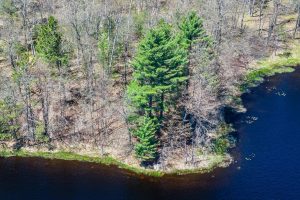 Lot 1 Off River Rd, , Cloverland,  WI 54521