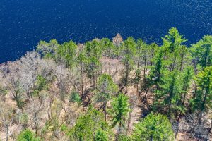 Lot 2 Off River Rd, , Cloverland,  WI 54521
