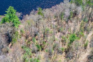Lot 2 Off River Rd, , Cloverland,  WI 54521