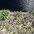Lot 1 Off River Rd, , Cloverland,  WI 54521