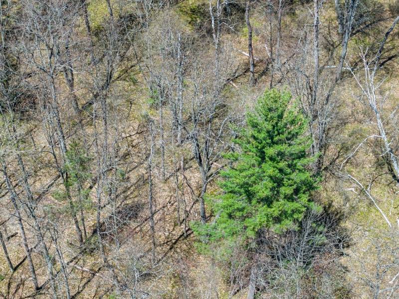 Lot 1 Off River Rd, , Cloverland,  WI 54521