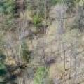 Lot 1 Off River Rd, , Cloverland,  WI 54521
