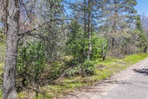 Lot 4 Off River Rd, , Cloverland,  WI 54521